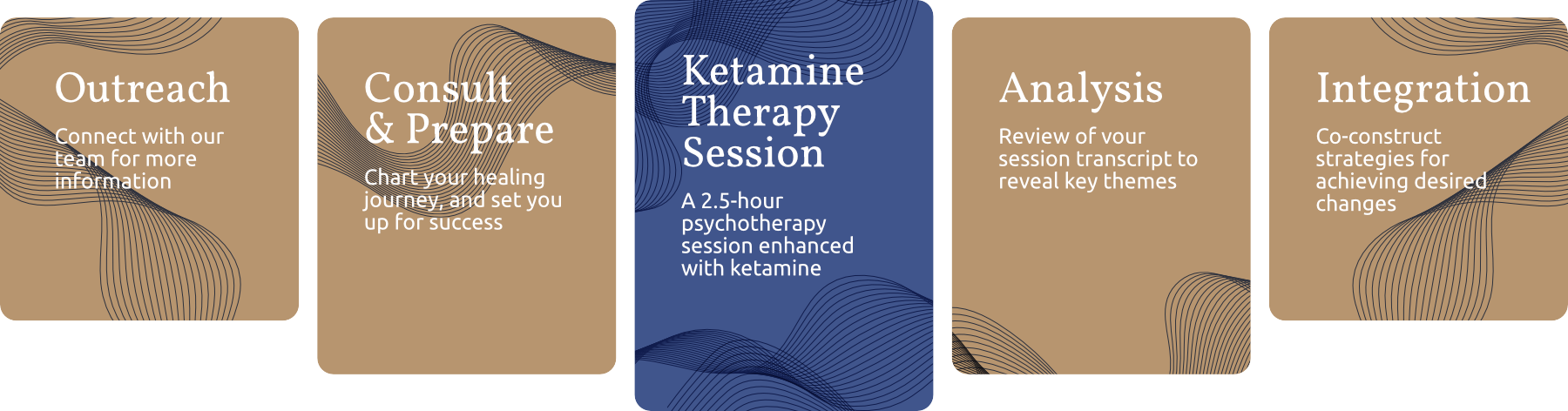 Psychedelic Therapeutic Process